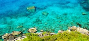 Hello Islands | Contact Us