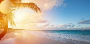 Hello Islands | Contact Us