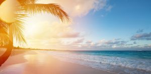 Hello Islands | Contact Us