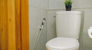 Hello Islands | Escape Beach Resort