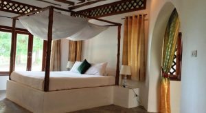 Hello Islands | The Jungle Club