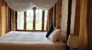 Hello Islands | The Jungle Club