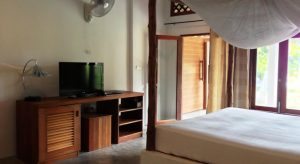 Hello Islands | The Jungle Club