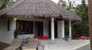 Hello Islands | The Jungle Club