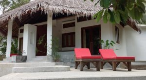 Hello Islands | The Jungle Club