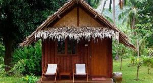 Hello Islands | The Jungle Club