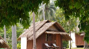 Hello Islands | The Jungle Club