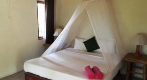 Hello Islands | The Jungle Club