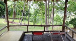 Hello Islands | The Jungle Club