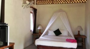 Hello Islands | The Jungle Club