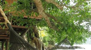 Hello Islands | Viking Nature Resort